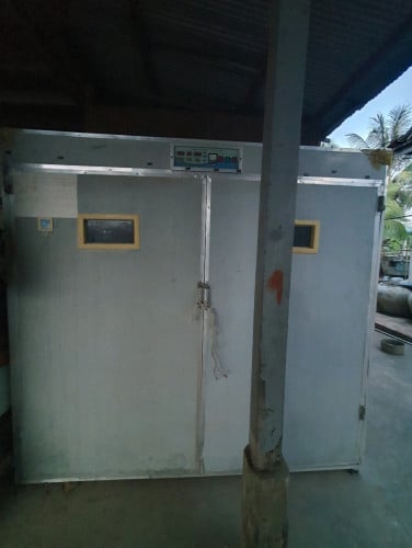 ទូភ្ញាស់ពងមាន់ពងទា 2000ពងជាង
