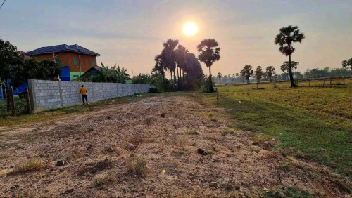 ដីលក់ប្រញាប់ជាប់ផ្លូវជាតិ41