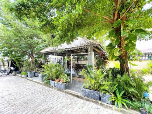 បរិយាកាស​ផ្ទះ​ ដូច​រីសត​ សាលាកំរេីក 5នាទីពី​ Pub Street