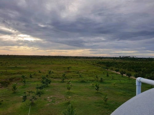 ដីលក់បន្ទាន់តម្លៃទន់ៗ ទំហំ 77ហិចតា