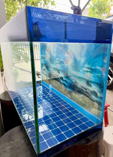 ទូត្រីលក់ (Fish Tank)