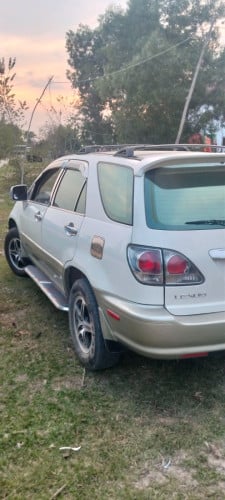 2000ប៉ុង1គល់MC