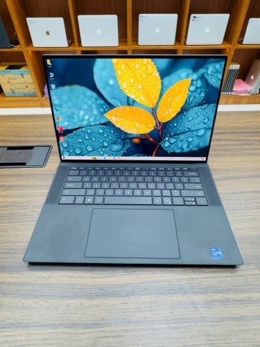 DELL Precision  5560 Workstation  i7 11th Generation  (16cpu)
