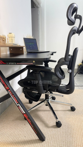Ergonomic Chair