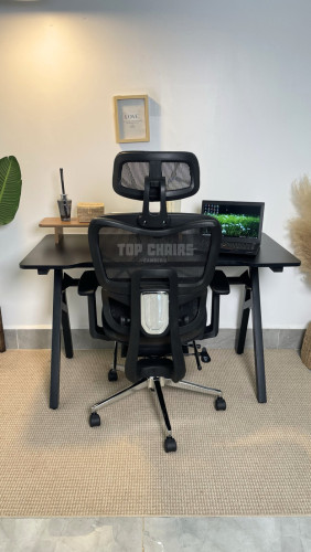 Ergonomic Chair