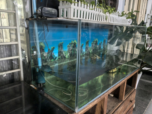 Fish tank price nego