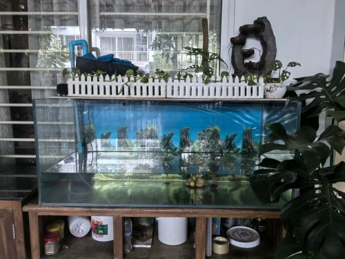 Fish tank price nego
