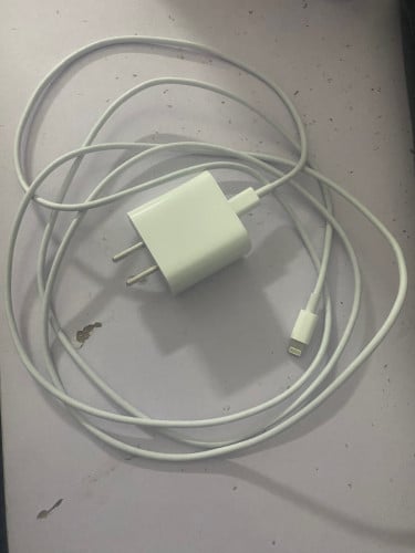 iPhone charger