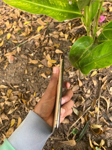 iphone xs max