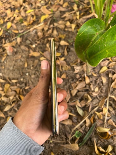 iphone xs max