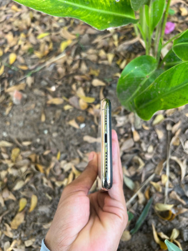 iphone xs max