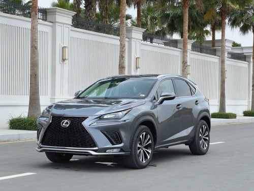 Nx 200t luxury up F-sport