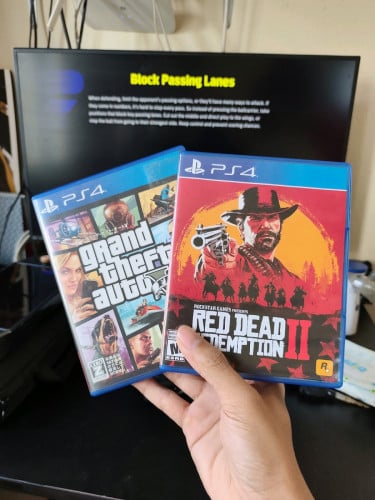 RDR2 and GTA5 99 99%