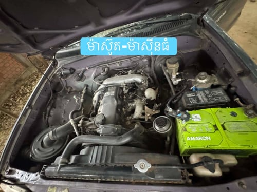 Tacoma 1997 កាប់ពីតាស់/ ម៉ាស៊ូត
