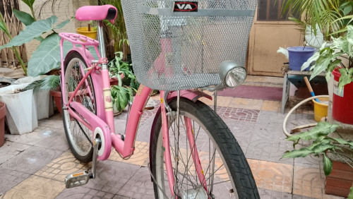 Teenager's bicycle for a girl. Used, in good condition. Price: $35. Tire pump included.