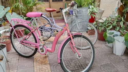 Teenager's bicycle for a girl. Used, in good condition. Price: $35. Tire pump included.