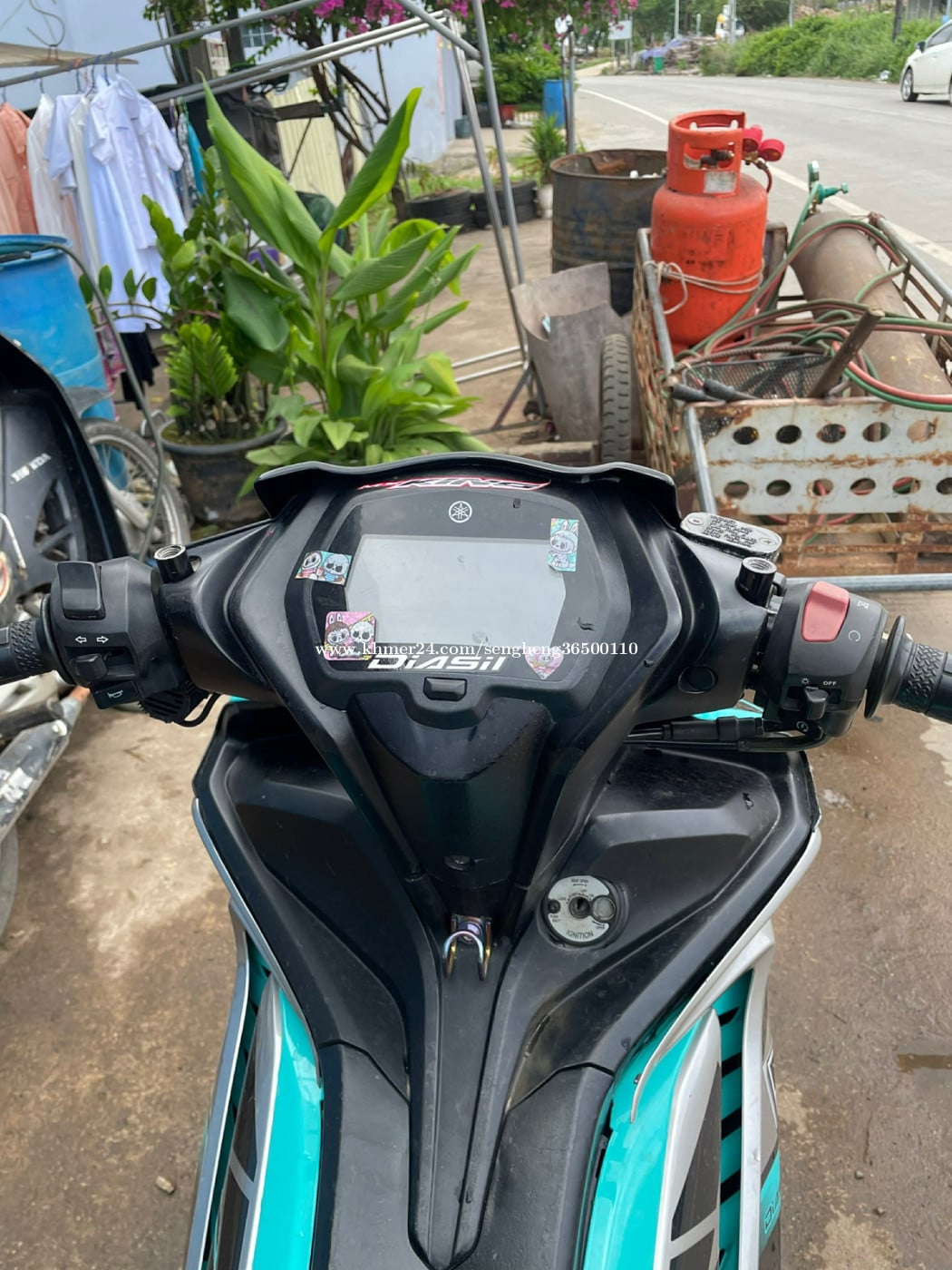 ត្រូវការអាចមើលបានបងៗ