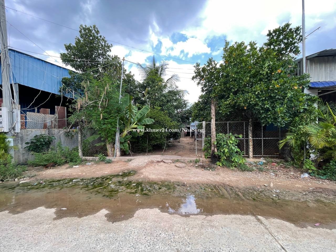 ដីលក់បន្ទាន់ទំហំ 12m x 39m
