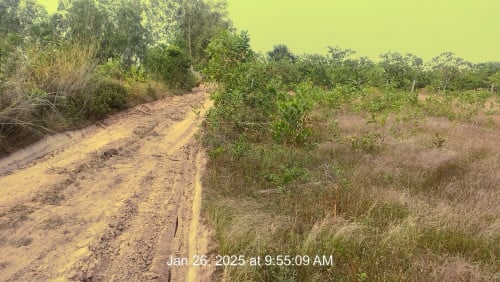 ត្រូវ​ការ​លក់បន្ទាន់