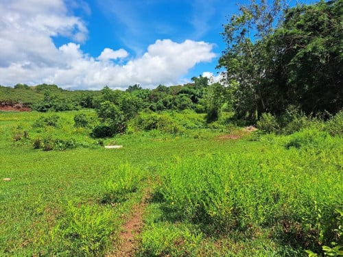 ដីចម្ការ