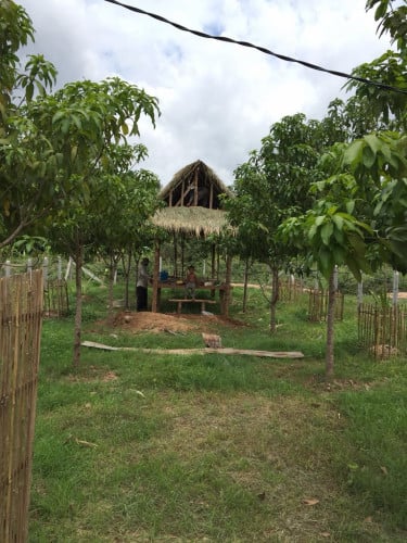 ដីលក់​ កោះដាច់