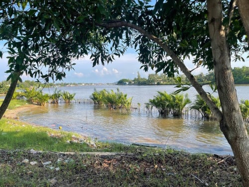 កំពត ជាប់ព្រែកធំ