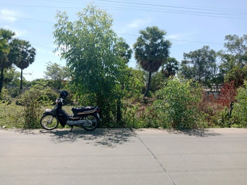 ដីលក់ជិតផ្លូវ១៣០សង្កាត់ពញាពន់