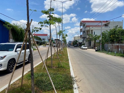 ដីសម្រាប់លក់