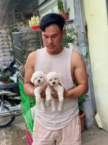 ស្រលាញ់អត់បងៗមានញីមានឈ្មោលបងៗ
