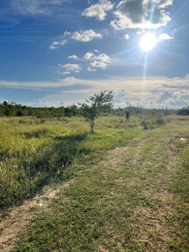ដីលក់បន្ទាន់កំពង់ស្ពឺផ្លូវ44