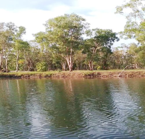 ដីជាប់ព្រែក លក់បន្ទាន់ នៅខេត្តកោះកុង - $7/m²