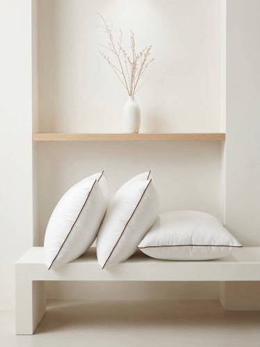 ក្នើយកើយខ្យល់ Down Pillow (2 pillow in a package)