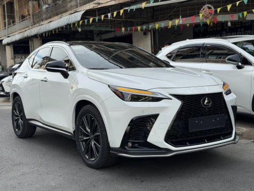 ម្ចាស់ដេីម F sport Arab