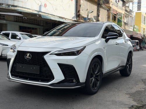 ម្ចាស់ដេីម F sport Arab