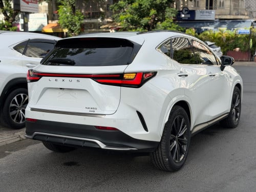 ម្ចាស់ដេីម F sport Arab
