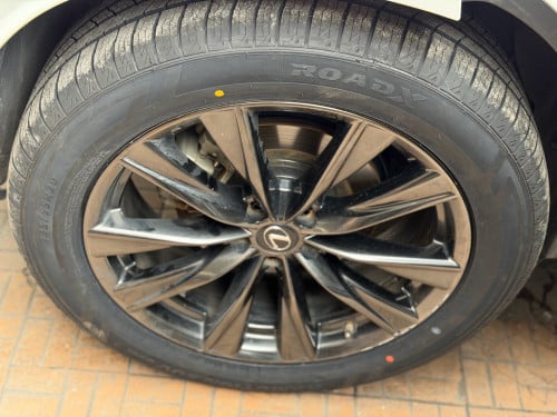 ម្ចាស់ដេីម F sport Arab