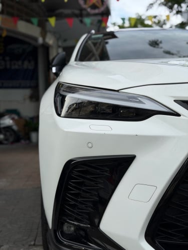 ម្ចាស់ដេីម F sport Arab