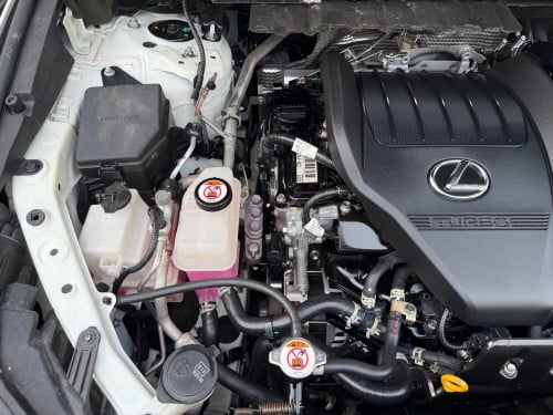ម្ចាស់ដេីម F sport Arab