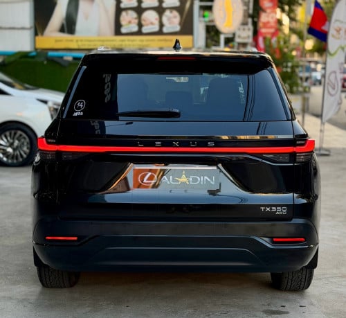 2024 Tx 350