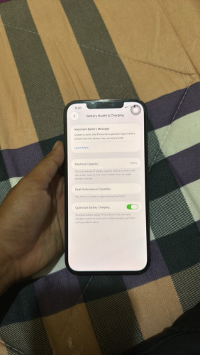 iPhone 12 Pro Max 256