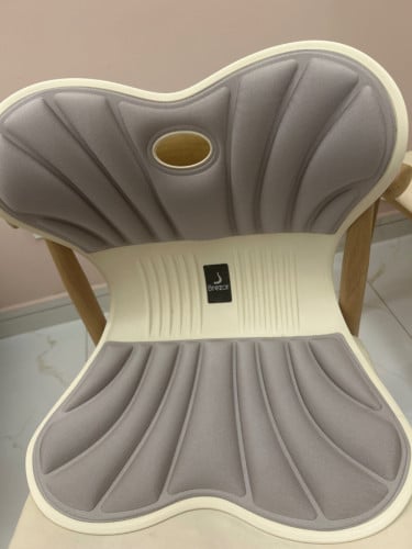 Brezor Posture Support Seat