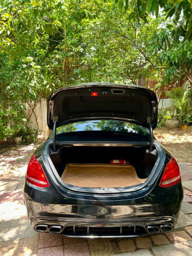 C300 2015