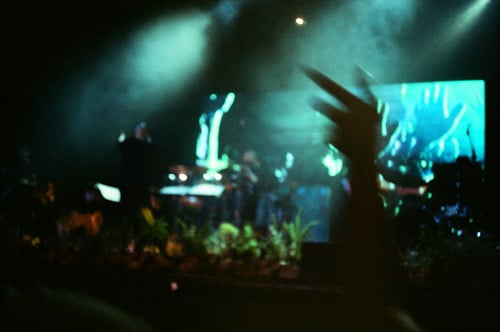 Film Event Photographer | 35mm Analog Photography