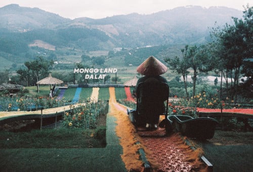 Film Event Photographer | 35mm Analog Photography