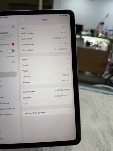 Ipad Pro11 256G Wifi