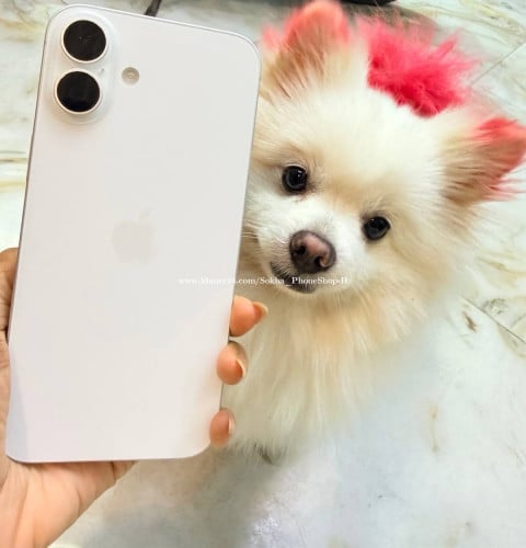 iPhone 16plus 256G Sim2 ស្អាត 99% 780$