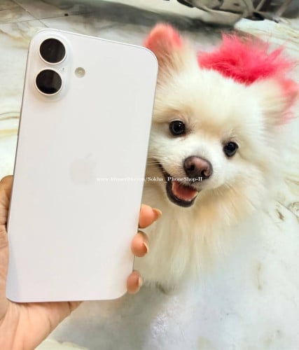 iPhone 16plus 256G Sim2 ស្អាត 99% 780$