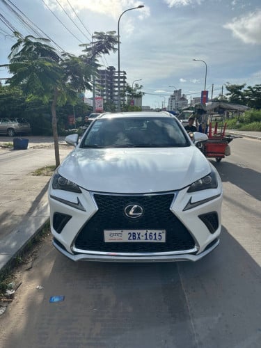 Lexus NX200T 2015 luxury ប៉ុង1 ប៉ូតុង5