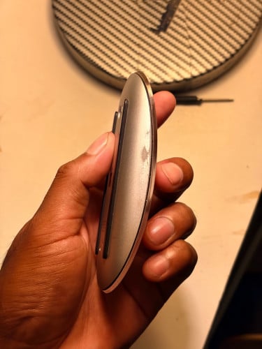 Magic Mouse 2