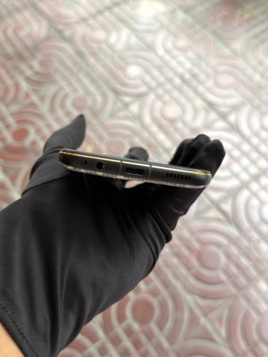 Vertu Life Himalayan Lizard